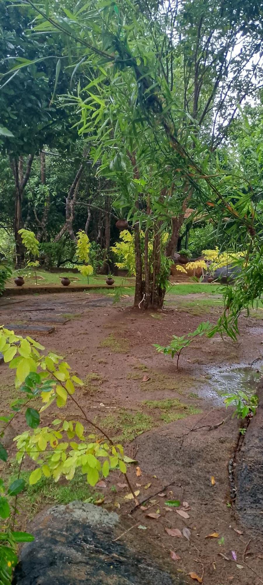 Park Paradise Rumassala Galle Exterior photo